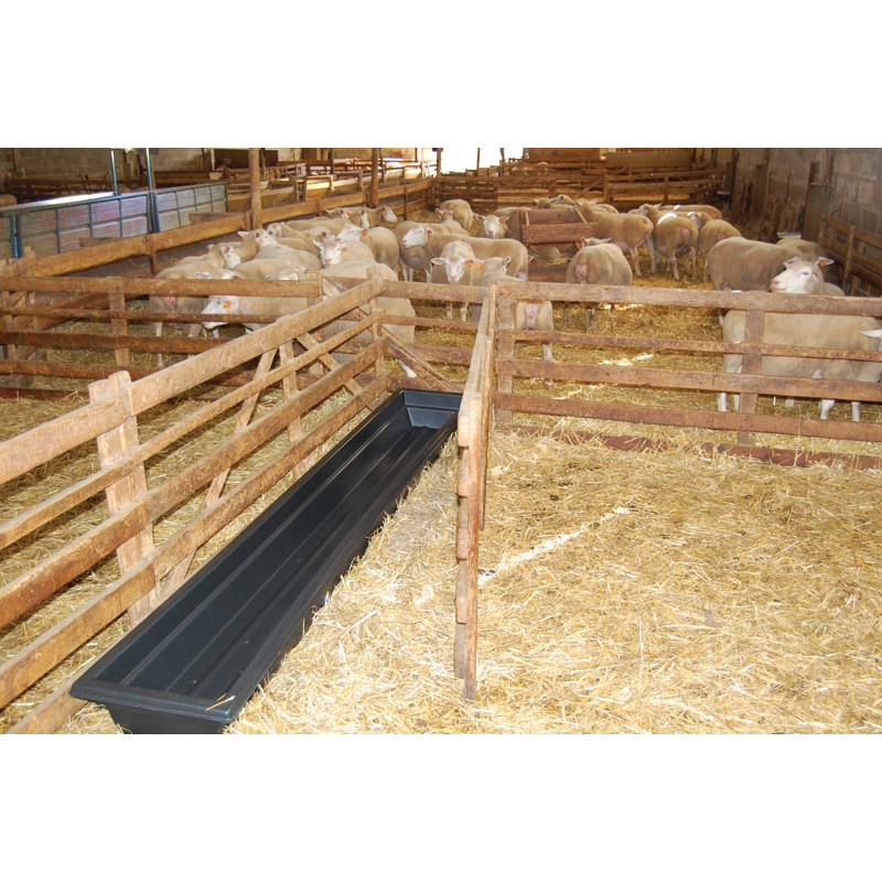 Sheep footbath