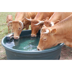 La Gée 750 l pasture trough La Gée 750 l pasture trough