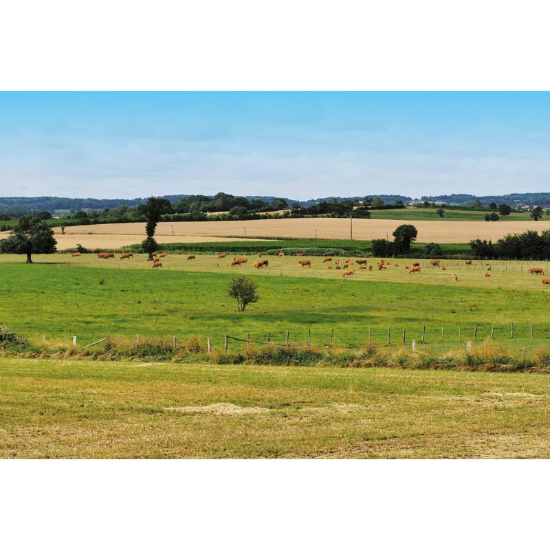 5000 l rectangular monoblock tank