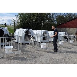 XXL comfort calf hutch with grating pack