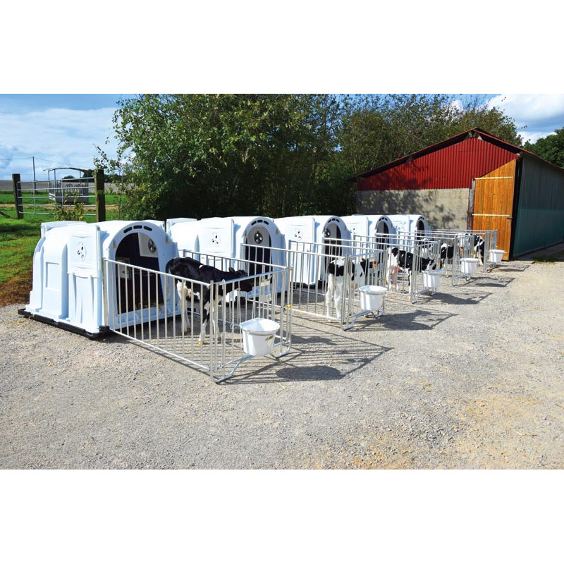 XXL comfort calf hutch with grating pack