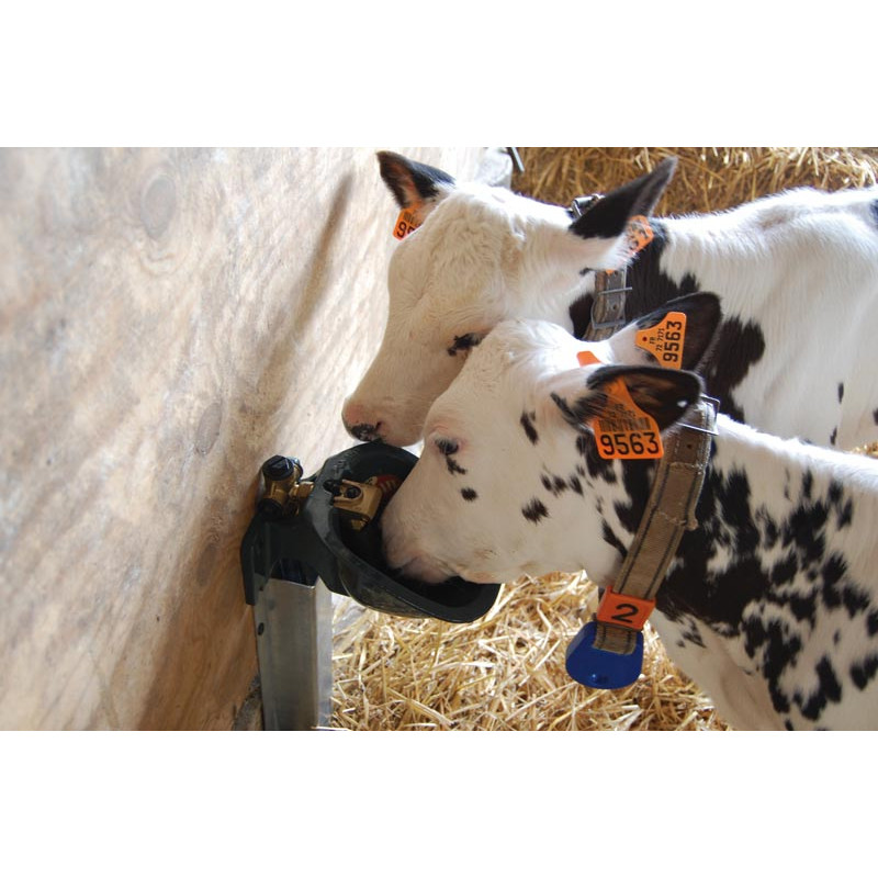 POLYFIRST PF1 drinker