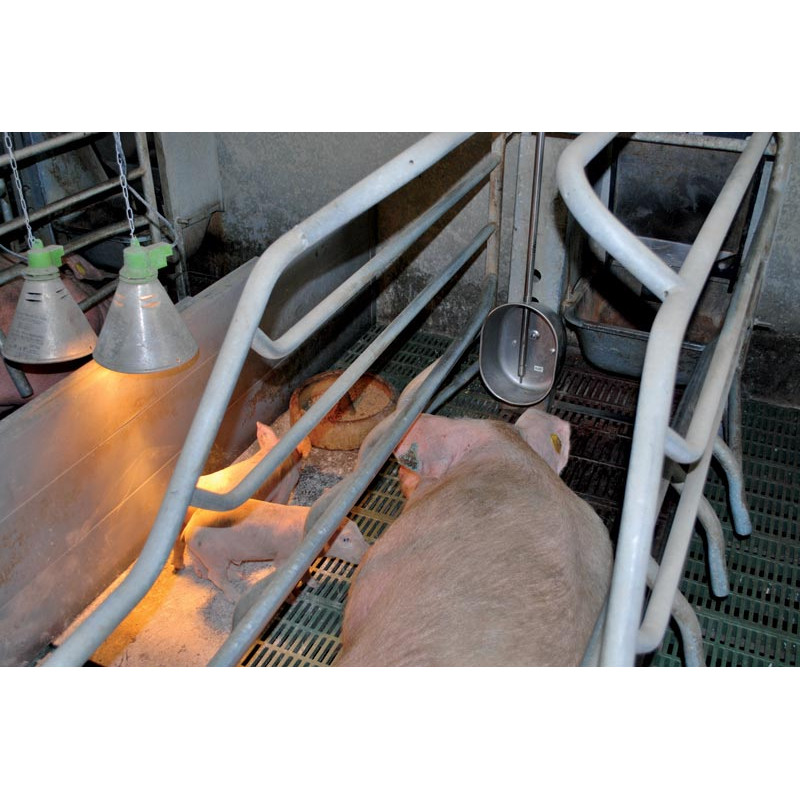 POLYPORC drinker "Piglet" POLYPORC drinker "Piglet"