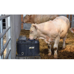 POLYTHERME 1 ball drinker POLYTHERME 1 ball drinker