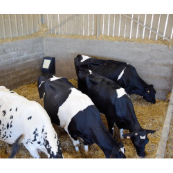 Single POLYFLAP drinker Single POLYFLAP drinker