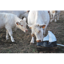 POLYPUMP BOWL field pump drinker with bowl