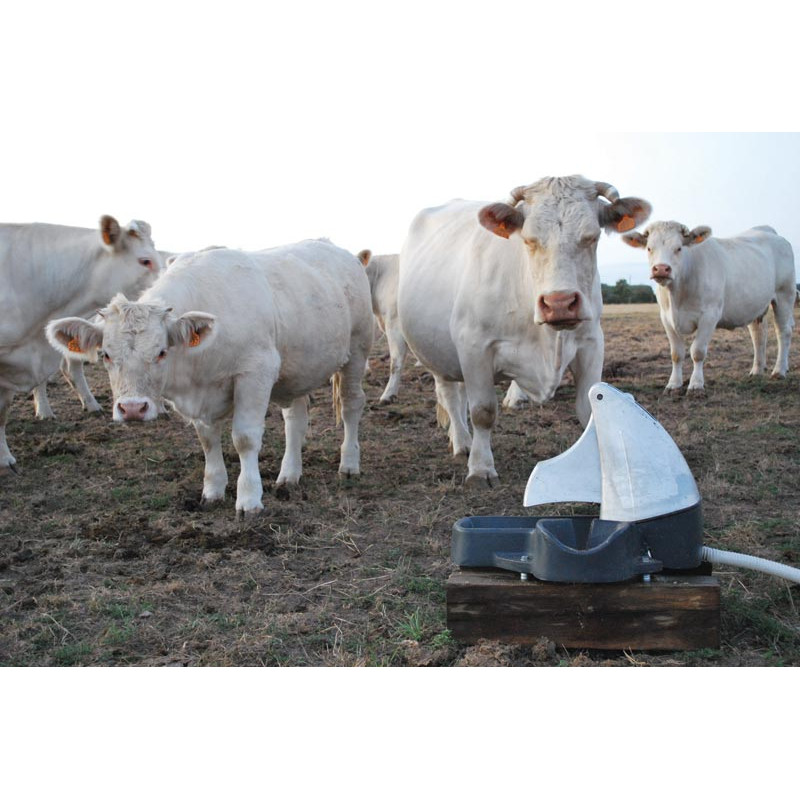 POLYPUMP BOWL field pump drinker with bowl