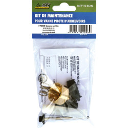 Maintenance kit for brass and Stainless steel pilot valve