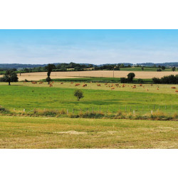 5000 l rectangular monoblock tank 5000 l rectangular monoblock tank