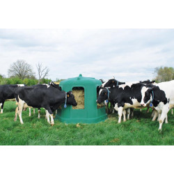 RPE GM hay without base RPE GM hay without base