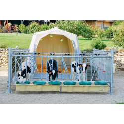 Group calf hutch with pen