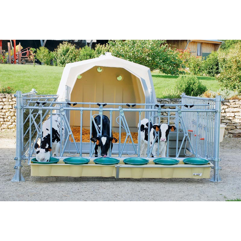 Group calf hutch with pen