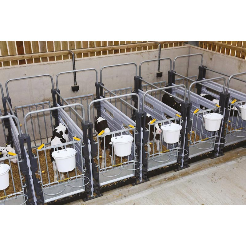 Partition for Hygiene Pro calf pens in a row Partition for Hygiene Pro calf pens in a row