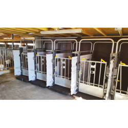 Partition for Hygiene Pro calf pens in a row Partition for Hygiene Pro calf pens in a row