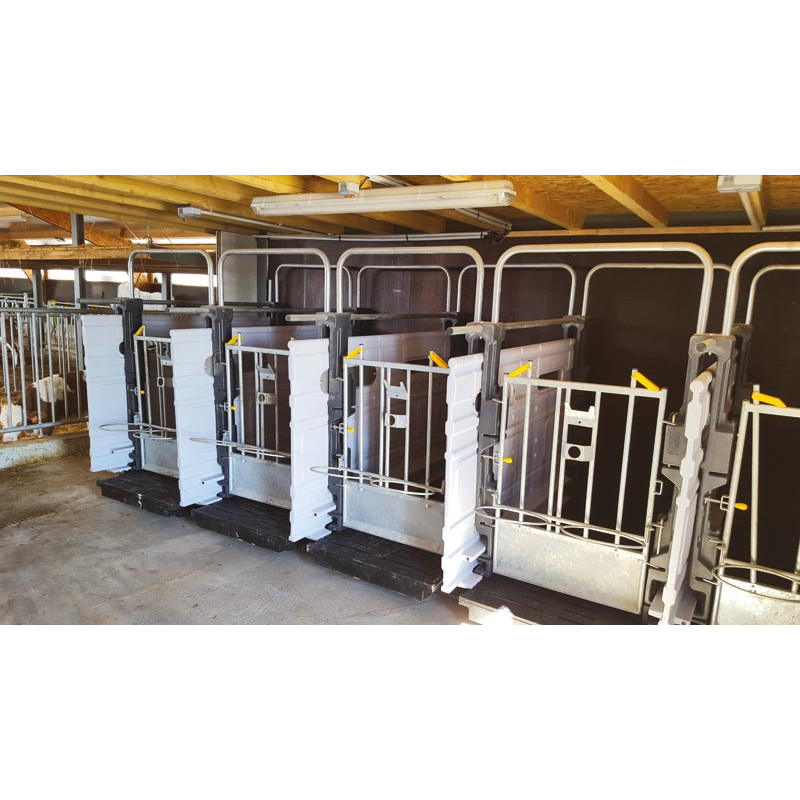Partition for Hygiene Pro calf pens in a row Partition for Hygiene Pro calf pens in a row