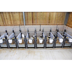 Partition for Hygiene Pro calf pens in a row Partition for Hygiene Pro calf pens in a row