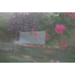 Agricultural adhesive tape for greenhouses