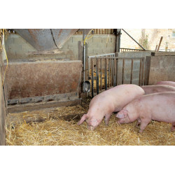 POLYPORC drinker "Finisher"