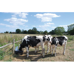 POLYPUMP field pump drinker