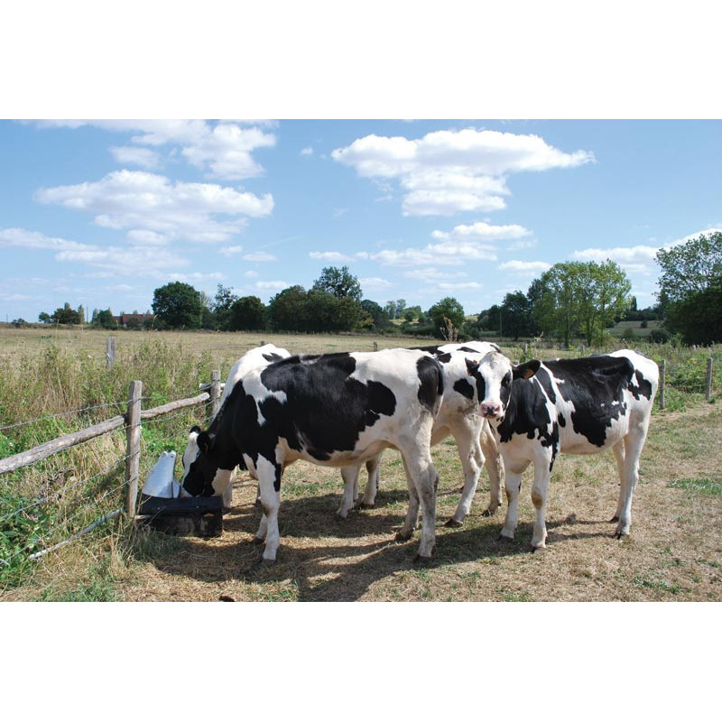 POLYPUMP field pump drinker