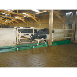 Modular cattle footbath 1.25 m