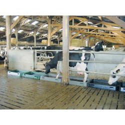 Modular cattle footbath 1.25 m