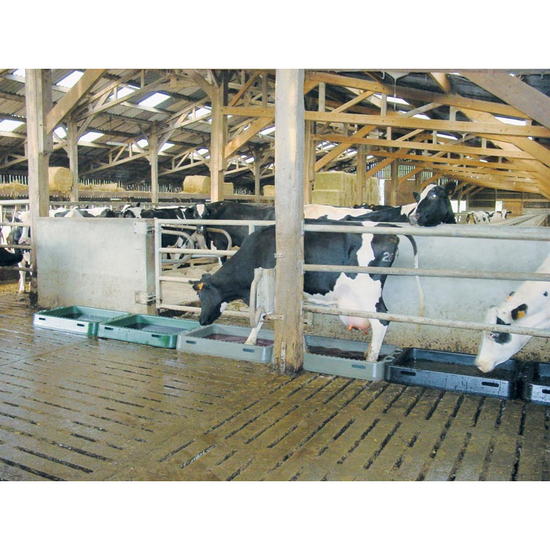Modular cattle footbath 1.25 m