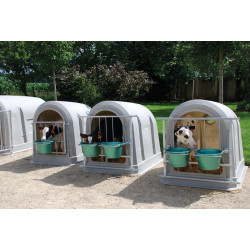 MV standard calf hutch 