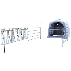 Group calf hutch with pen