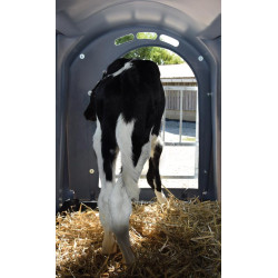 GV two-layer calf hutch