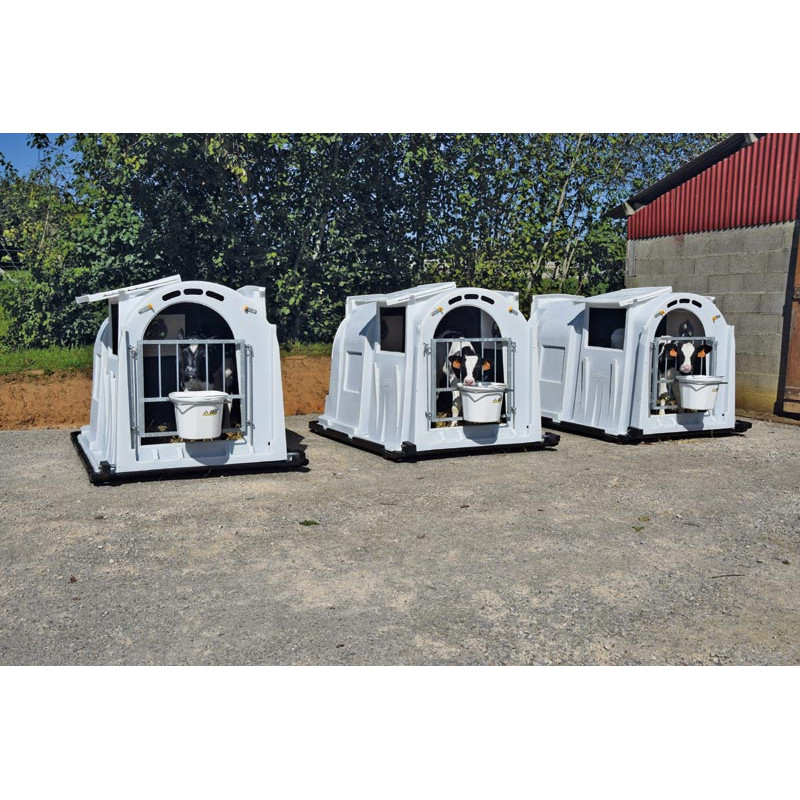 XXL two-layer calf hutch 