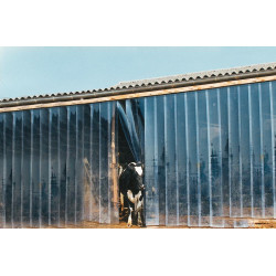 PVC strip curtain 20 cm PVC strip curtain 20 cm