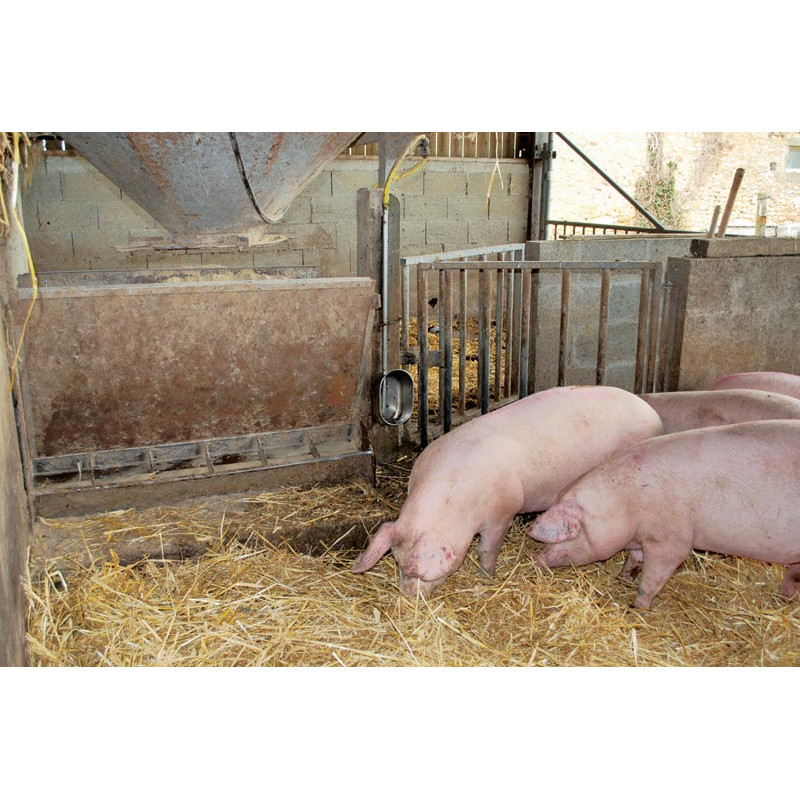 POLYPORC drinker "Finisher" POLYPORC drinker "Finisher"