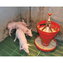 Nipple for swine "Specifically designed for post-weaning"