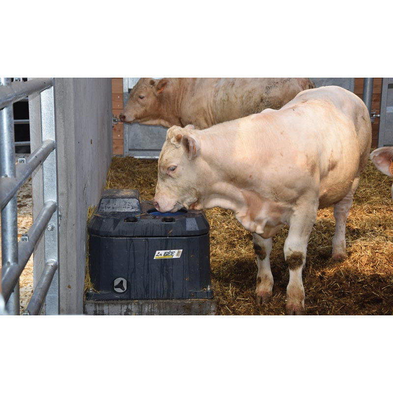 POLYTHERME 1 ball drinker POLYTHERME 1 ball drinker