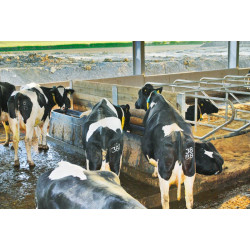 Heating POLYMAX drinker Heating POLYMAX drinker